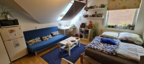 Business-Travel-Apartment & Ferienwohnung Münster, kontaktloser Check-In von 15 bis 22 Uhr möglich, mit SB-Kiosk, Munster
